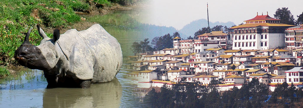 Assam Tour